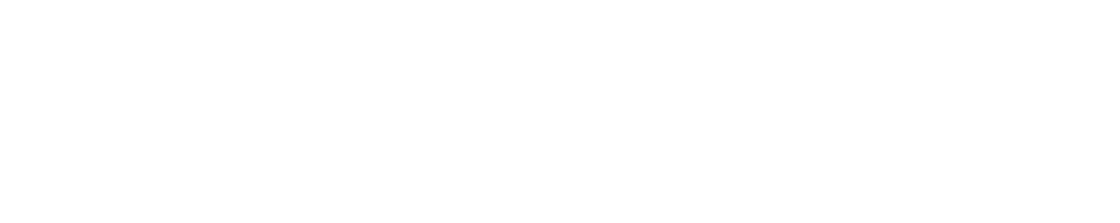 IRIS Portfolio Studio